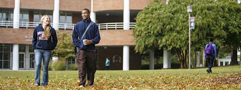 students walking on grass